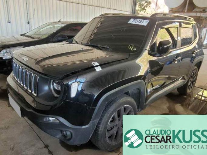 JEEP RENEGADE 21/21