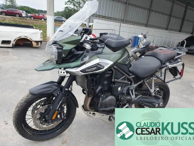 TRIUMPH TIGER 19/19