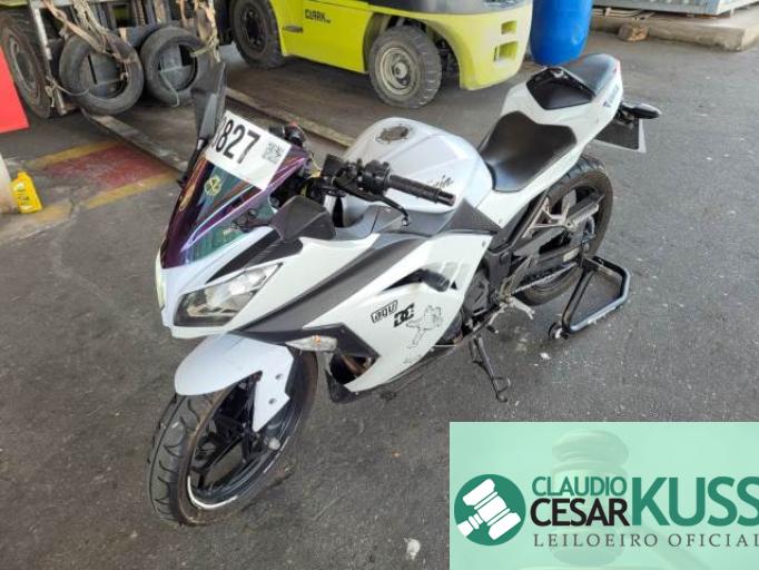 KAWASAKI NINJA 300 13/13