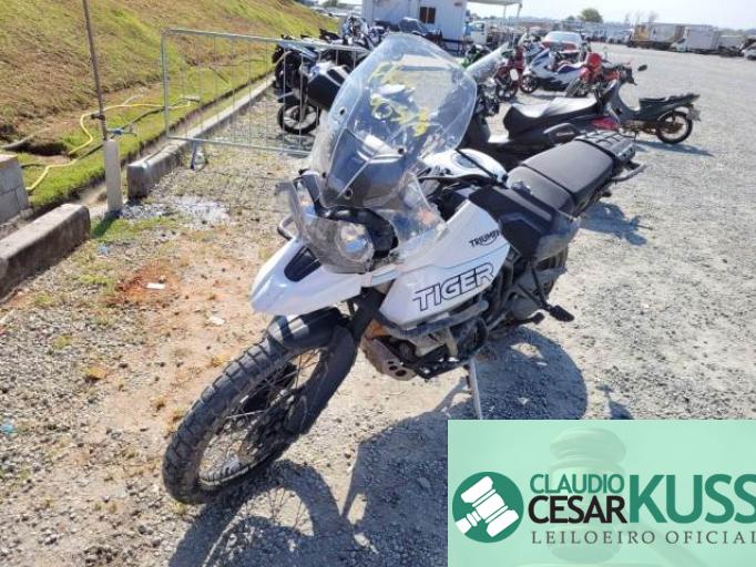 TRIUMPH TIGER 20/20